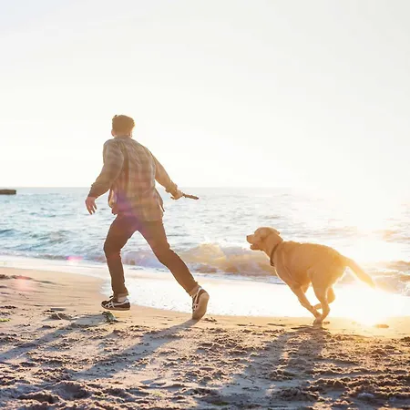 Apartment Sommerbrise - 5 Sterne Für Ganze Familie Im Ostseebad